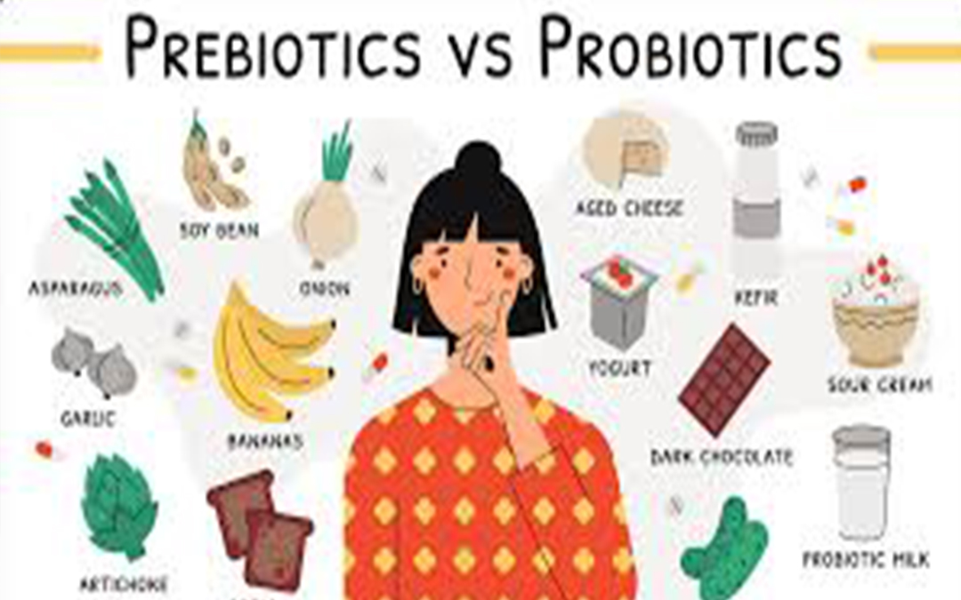 Prebiotics vs. Probiotics: What Your Gut Really Needs