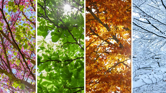 The Return of Going Out: A Seasonal Personality Shift